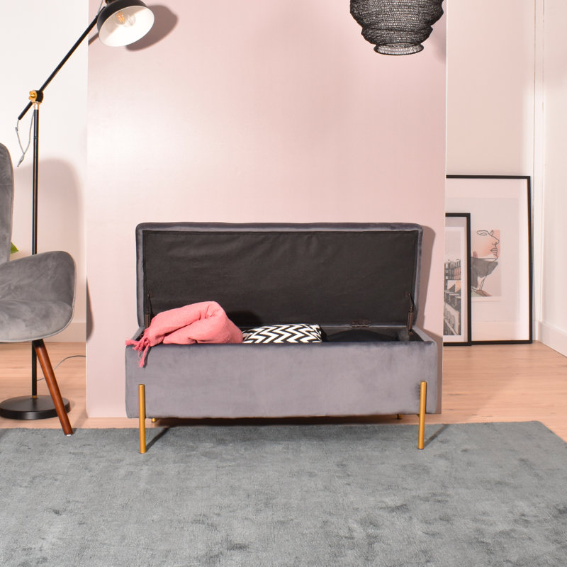 Mercury Row® Schmucker Upholstered Flip Top Storage Bench & Reviews